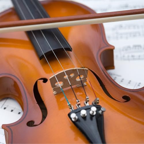 NULYLU Accessoire pour Cordier de Violoncelle en Alliage D'aluminium Noir, Facile à Installer avec Corde de Queue, Haute Performance pour Violoncelle – vue 6
