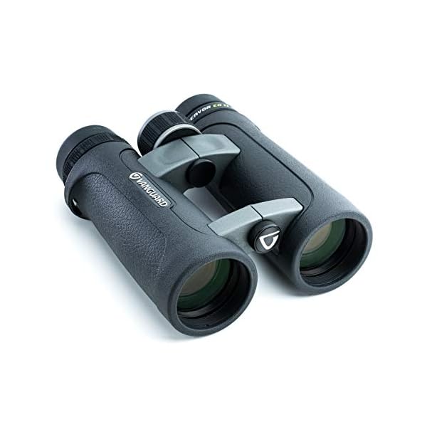 Vanguard Endeavor ED II Fernglas, Premium Hoya ED Glas, wasserdicht & beschlagsicher