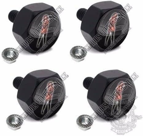4 Black Billet Hex LIC Fastener License Plate Frame Tag Bolts for Tattoo Girl LR Model-PYT-8888-4164