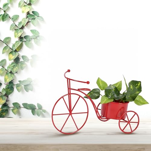 Image of CINAGRO Cycle Shaped Metal Plant Stand for Indoor & Outdoor Use, Decorative Planter Pot for Flowers & Ornaments, Stylish Metal Cycle Design, Living Room & Home Garden Decor, Style: Pedal Paradise