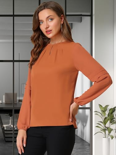 Allegra K Women's Work Tops Keyhole Neck Long Sleeve Work Shirts Blouse Dressy Casual Business Shirt2