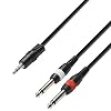 Adam Hall Cables 3 STAR YWPP 0100 – Câble Audio Mini-Jack 3,5 mm stéréo vers 2 x Jack 6,35 mm mono 1 m