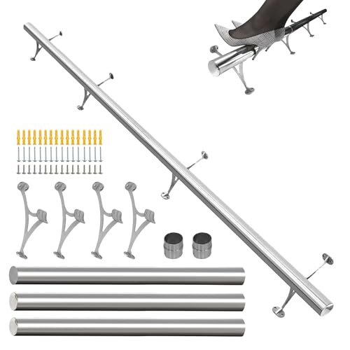 SHANTRA 8ft Bar Foot Rail Kit Silver