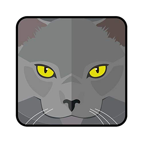 Dark Spark Decals Russian Blue Cat Square - 10 Inch Full Color Vinyl Decal for Indoor or Outdoor use, Cars, Laptops, Décor, Windows, and More