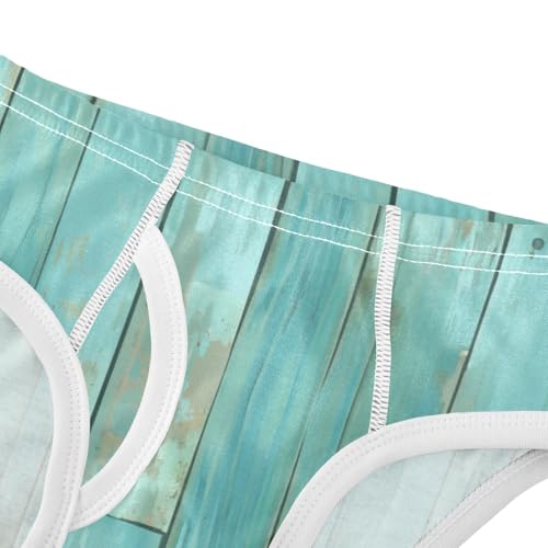 KLL Teal Turquoise Green Painted Wood Little Boys Cotton Briefs Breathable Children Undies4