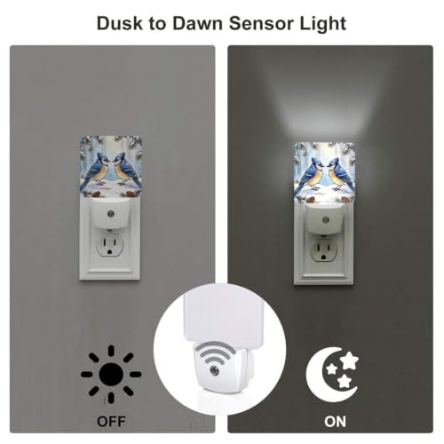 Image of Winter Hummingbirds Blue LED Plug-in Night Light 2 Pack, Nightlights Set of 2 for Bedroom Bathroom Stairs