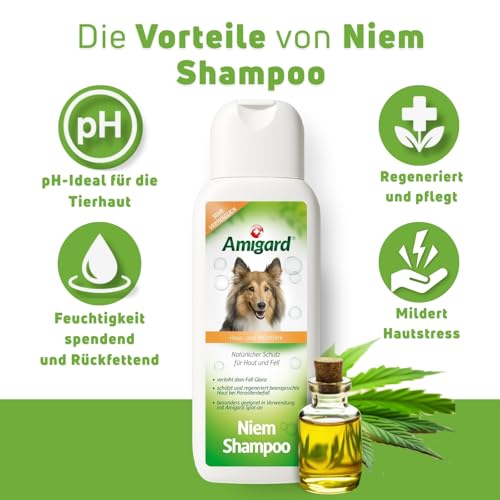 Amigard Hundeshampoo Sensitiv – Natürliches Hunde Shampoo mit Neemöl – Sanfte Pflege bei Juckreiz & Hautirritationen – ohne Duftstoffe – 250 ml
