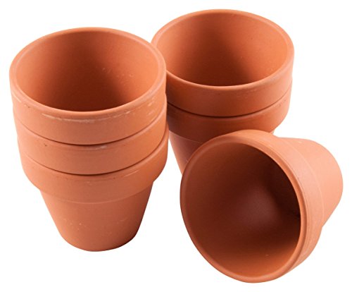 Radis et capucine 016869-Lote de 30 Unidades, Terracota, 5 x 5 x 5 cm