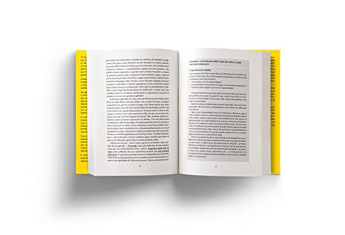 O segredo de Luísa: Uma ideia e uma paixão: como nasce o empreendedor e se cria uma empresa