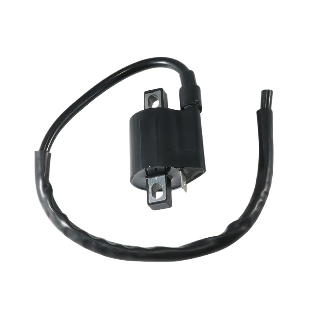 Bobine d'allumage Compatible With Suzuki LT-F160 LT160 LTF250