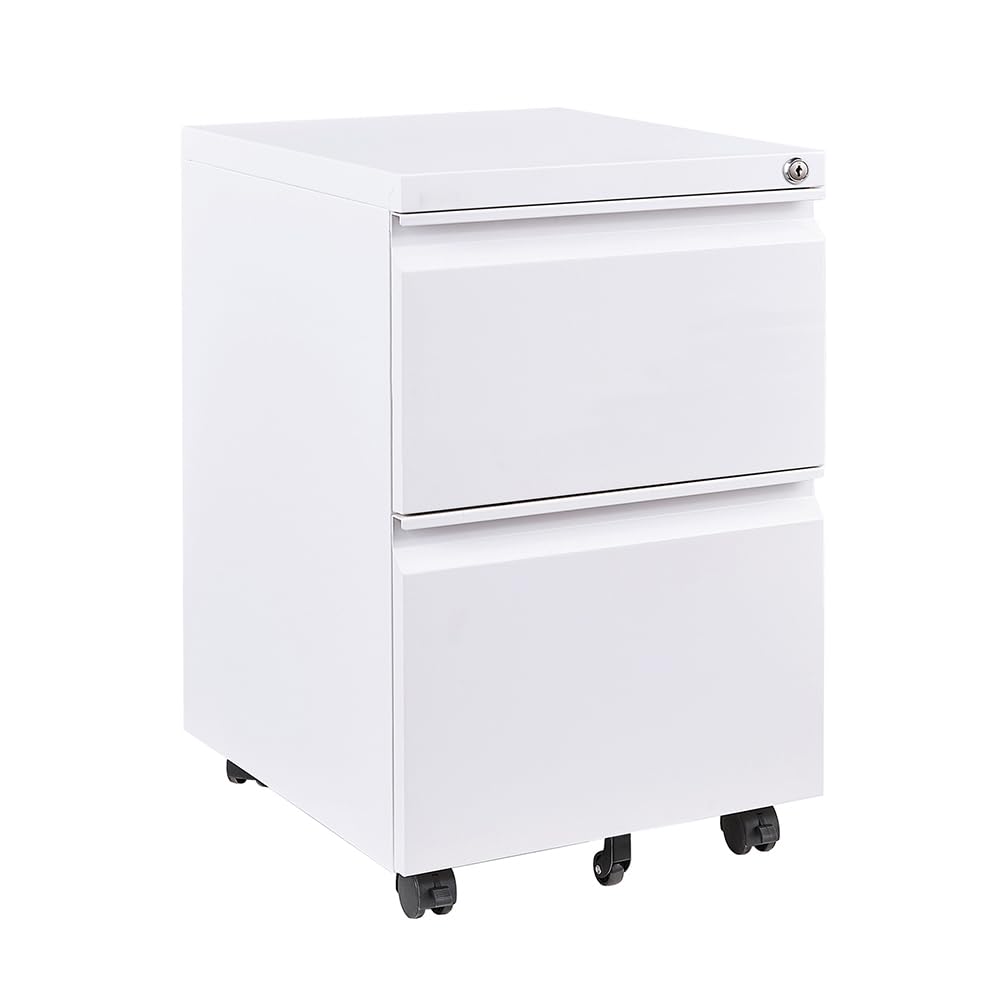 Panana 2/3 Drawer Mobile File Cabinet, Steel Lockable Office Cabinet with Wheels Under Desk Drawers on Casters for Home Office Furniture, Fully Assembled (White, 2 Drawers)