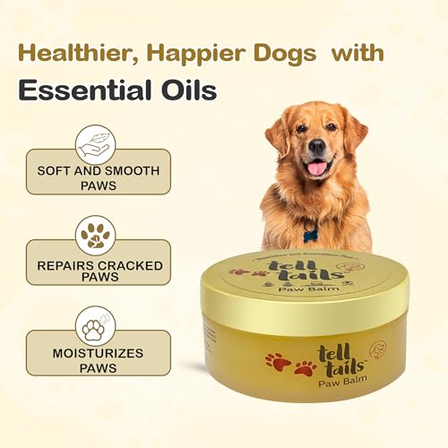 Image of Tell Tails Paw Cream for Dogs - 50gm | Hydrates & Conditions Paws | Heals Cracked,Rough Paws | Enriched with Vitamin E, Candelilla Wax, Sea Buckthorn Oil & Mint Oil | Restores Moisture & Adds Shine