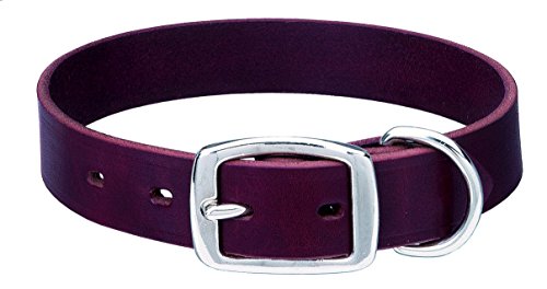 Collier Weaver Leather Heritage Choix stabilise la selle