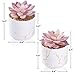ZENIDA Artificial Plants and Succulents in 2 White Ceramic Pots,Small Fake Plants for Office and Desk Decor,Bathroom, Bedroom,Shelves for Women