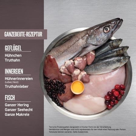 Orijen Cat Regional Red | Doppelpack | 2 x 340 g | Alleinfuttermittel für ausgewachsene Katzen | 85% hochwertige tierische Zutaten | Überzug aus gefriergetrockneter Leber