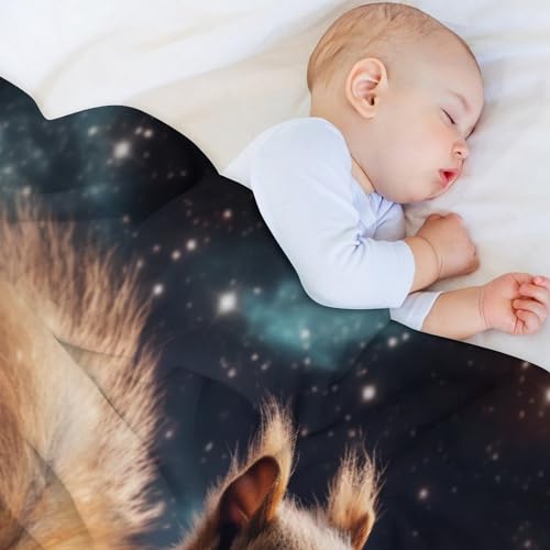Manta de sofá para cuatro estaciones Squirrel manta para cama de salón 4