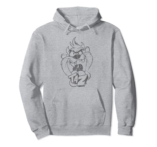 Image of Looney Tunes Faded Taz Pullover Hoodie