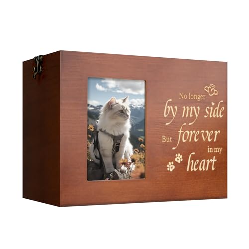 RINVEE ybgp L  D tHgt[ ؐ[{bNX LOip ubNtlnt LADp (uE ~fBA)