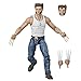 Hasbro Marvel Legends Series Wolverine 6-inch Collectible Action Figure Toy, Ages 14 and Up (Amazon Exclusive)