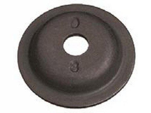 TeeJet D2 Spray Orfice Disc, 0.064-0.18 GPM, 20-300 psi, Stainless Steel - Black