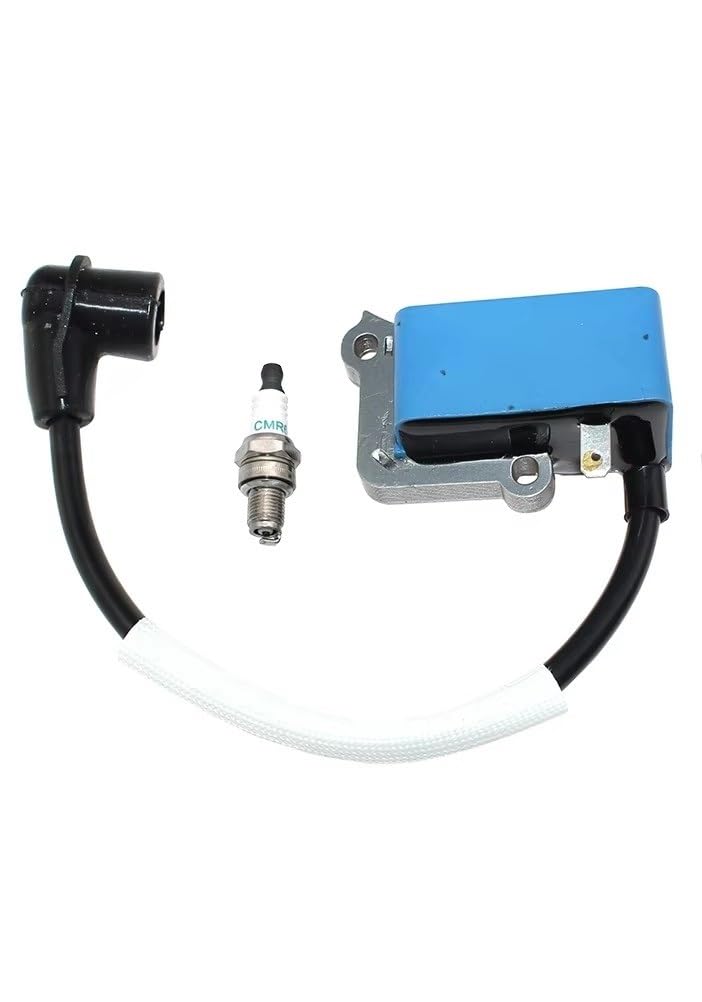 Bobine d'allumage 599899501 répare les pannes de moteur à chaud