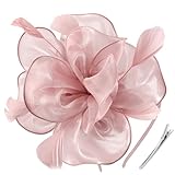 DRESHOW Fascinators Hat Tea Party Headwear Ribbons Feathers on a Headband and a Clip for Women