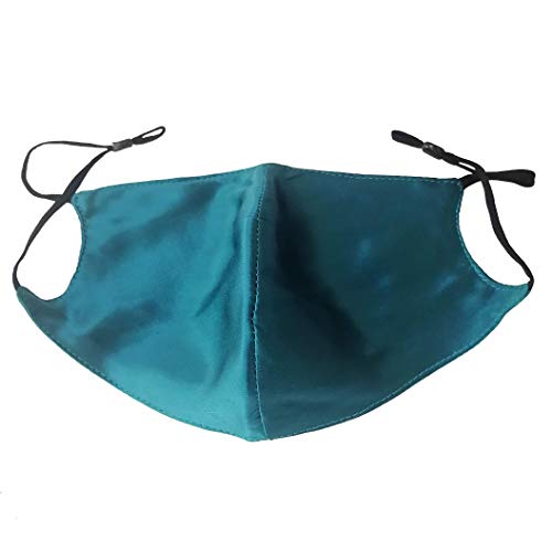 Silk Face Mask For Women Recyclable And Cleanable Keep Warm In Winter,Soft Cloth For The Nobility (Blue (Bridge of nose))