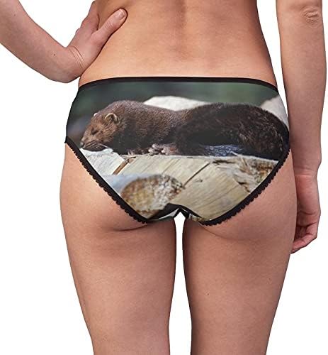 Mustela Vison Panties, Mustela Vison Underwear, Briefs, Cotton Briefs, Funny Underwear, Panties For Women