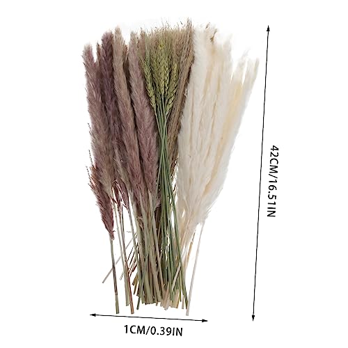 PRETYZOOM 2 Caixas Arreglos Naturales Boho Buquê De Casamento Grama De Seca Grama Seca Para Arranjo