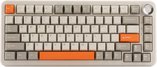 URX x AJAZZ AK820 MAX Plus Premium Mechanical Gaming Keyboard | 75% Wireless RGB Keyboard with Hot Swappable Pre-Lubed Switches | Bluetooth, USB-C, 2.4GHz | Upgraded Gasket Seal Design | Retro Orange URX x AJAZZ AK820 MAX Plus Premium Mechanical Gaming Keyboard | 75% Wireless RGB Keyboard with Hot Swappable Pre-Lubed Switches | Bluetooth, USB-C, 2.4GHz | Upgraded Gasket Seal Design | Retro Orange