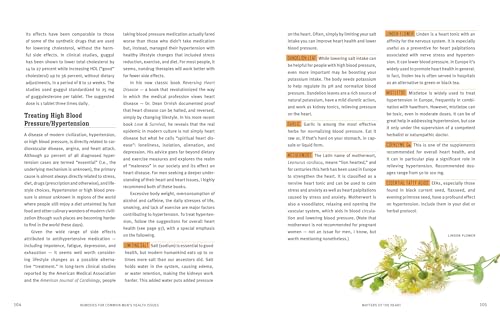 Rosemary Gladstar's Herbal Healing for Men