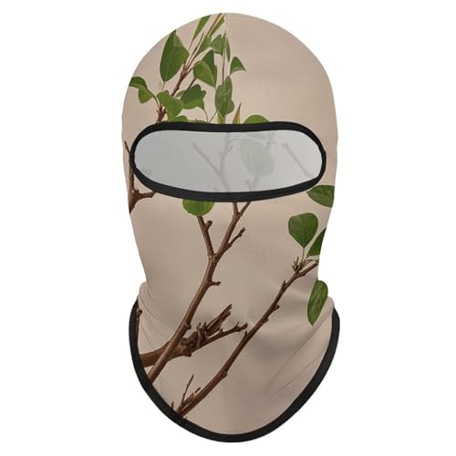 Balaclava para hombre y mujer, máscara para esquí, cubreboca completo para ciclismo y motociclismo miniatura 7
