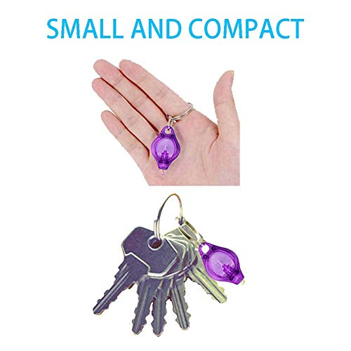 Jwisland 15 Pack 395Nm Uv Mini Led Keychain Flashlight Black Light Uv Lights Key Ring Light Torch (Purple) #TOP2