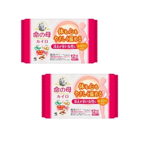 y\^CvzĝăJC ѐ ̕ ₦h ̂S₳߂ 10P × 2 zbJC