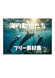 【著作権フリー素材集】海の動物たち【ご自由にお使いください】 フリー画像集