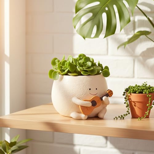 Pots de fleurs mignons pour décorer votre bureau et salon - 8
