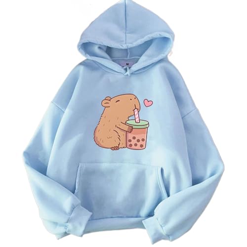 Cartoon 3Dprinted Hoodies mens/womens pullover Capybara pattern Hoodie Boys and Girls Youth Pocket Sweatshirt (COLOR12 Small)