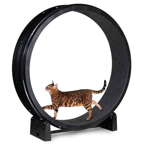 Image of One Fast Cat - Cat Exercise Wheel - Gen. 7 - Safe 48 inch Diameter - Made in The USA - Black Wheel with Black Felt Traction Pads and Light-Up LED Inline Wheels