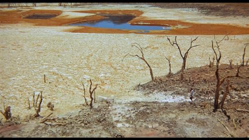 Walkabout Blu-ray película en disco azul de importación francesa para coleccionar 4