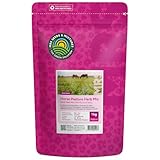 Kräutermischung Pferdeweide - 1 Kilo für 7.500 m² - Kräuter für Pferde - Heilkräuter und Ergänzungsfutter - 12 Arten - Gesunde und schmackhafte Pferdeweide - EIN- und mehrjährige Kräuter