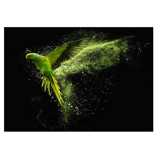Toile perroquet volant décoration murale pour illuminer vos pièces sombres