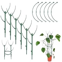 6 Stück Gartenpflanzen Pflanzenstütze Staudenhalter Zimmerpflanzen Pflanzen Stütze Stapelbare Pflanzenhalter Kletterpflanzen Rankstäbe für Drinnen Draußen Monstera Pflanzen Topfblumen
