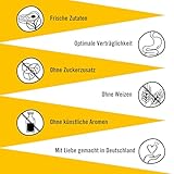 Dogs’n Tiger Adult Hundefutter, Nassfutter, Getreidefrei, Schlemmerpaket, ohne Zuckerzusatz & künstliche Konservierungsstoffe, optimale Verträglichkeit, Wild, Huhn, Ente, Lamm & Rind, 12x400g