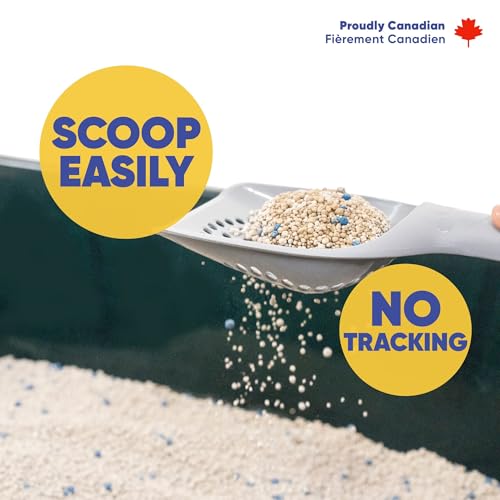 Image of Canada Cat Litter - Natural Bentonite Cat Litter with Activated Carbon-Odour Control and Highly Absorbent Litter for Cat (Pack of 1, Unscented)