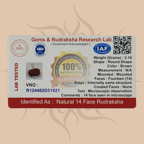 Image of 14 Mukhi Rudraksha Bead | Natural Rudraksh | Sacred Prayer Bead for Japa, Meditation & Puja Use