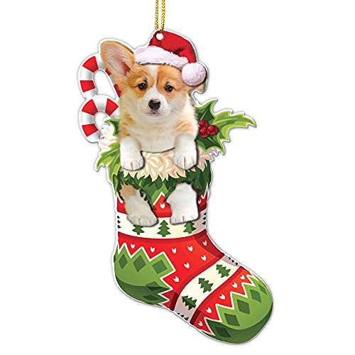 Corgi Acrylic Christmas Ornament - Cute Puppy in Stocking, Fun Festive Tree Decoration
