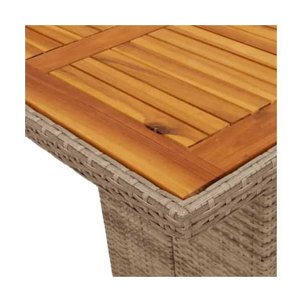 Garten-Essgruppe 9-teilig Polyrattan & Akazienholz Beige