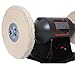 TREATLIFE HOME 8-Inch Electric Polisher for Effortless Polishing, Heavy Duty Build with 4 Buffing Wheels, for Metal, Jewelry, and Wood