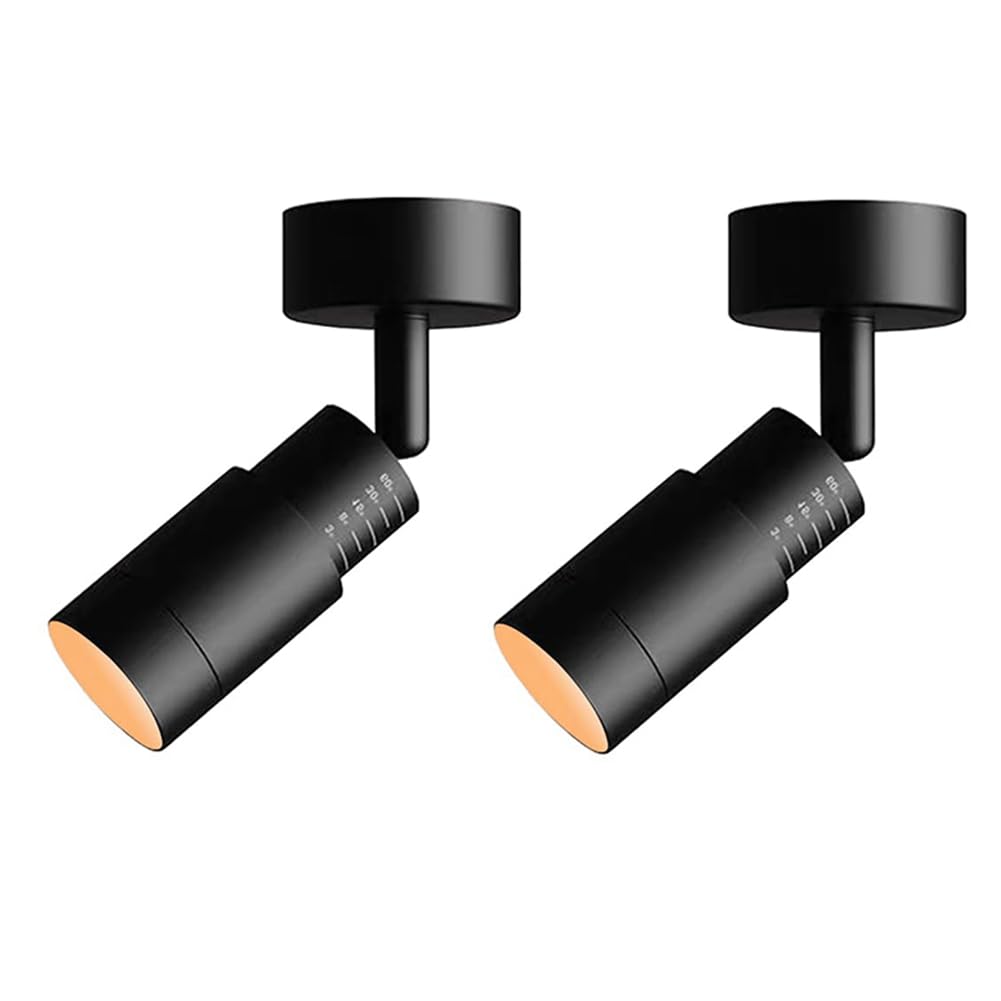 Mini petite lampe de plafond montée noire : spot LED à angle ajustable zoomable