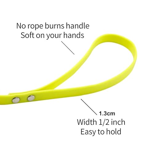 Durable Long Dog Leash Strengths and Weaknesses